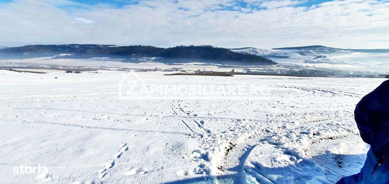 Teren 5600 mp Voiniceni - Imagine principală: 3/3