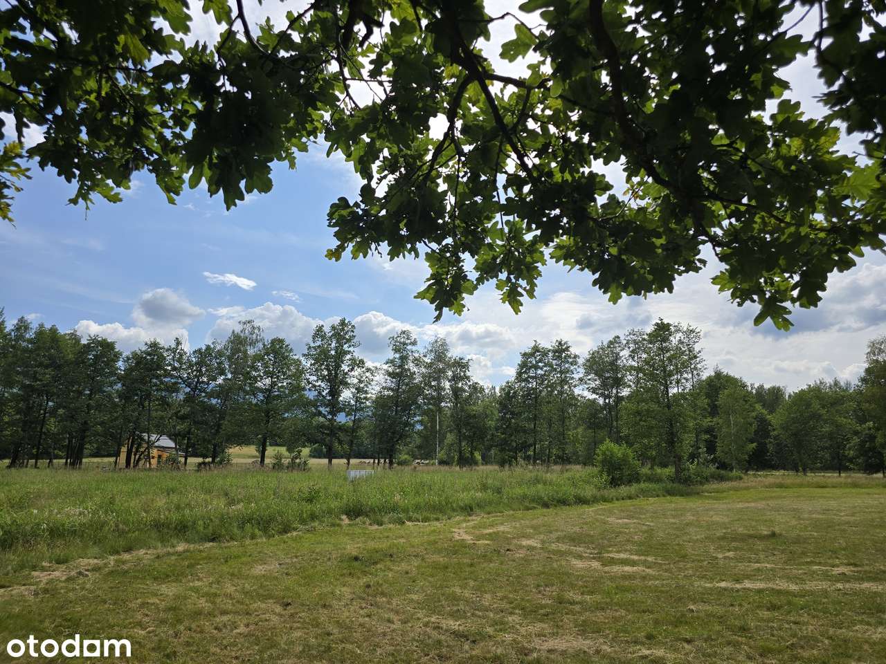 NOWA CENA - OKAZJA! Działka z widokiem na Śnieżkę-6