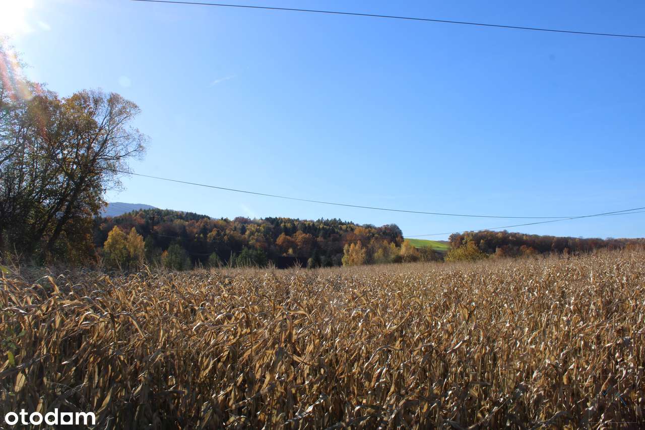 Kierlikówka - działka budowlano-rolna w spokojnej okolicy.-2