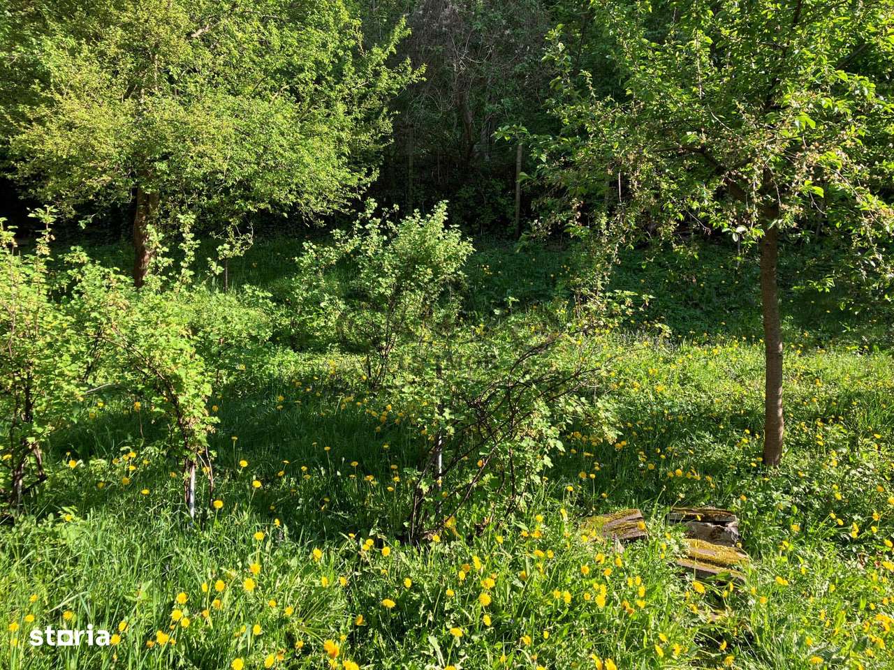 Vând Vilă deosebită cu 5 camere in Centrul Brașovului-16