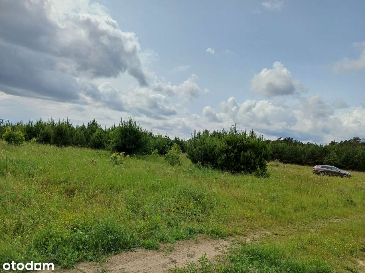 Wyjątkowa działka w otoczeniu lasu  - ul. Wyspiańskiego-8