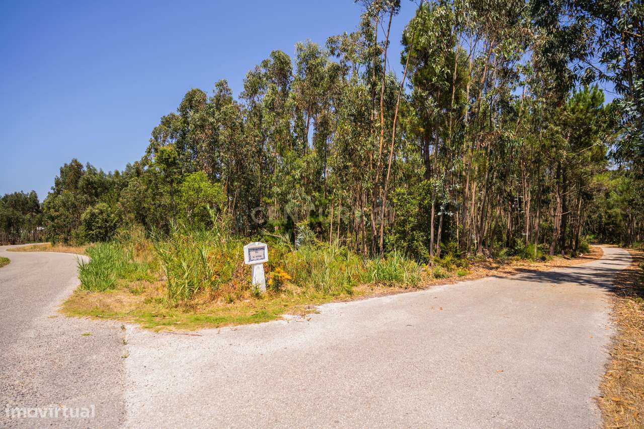 Terreno rustico, Nadadouro-7
