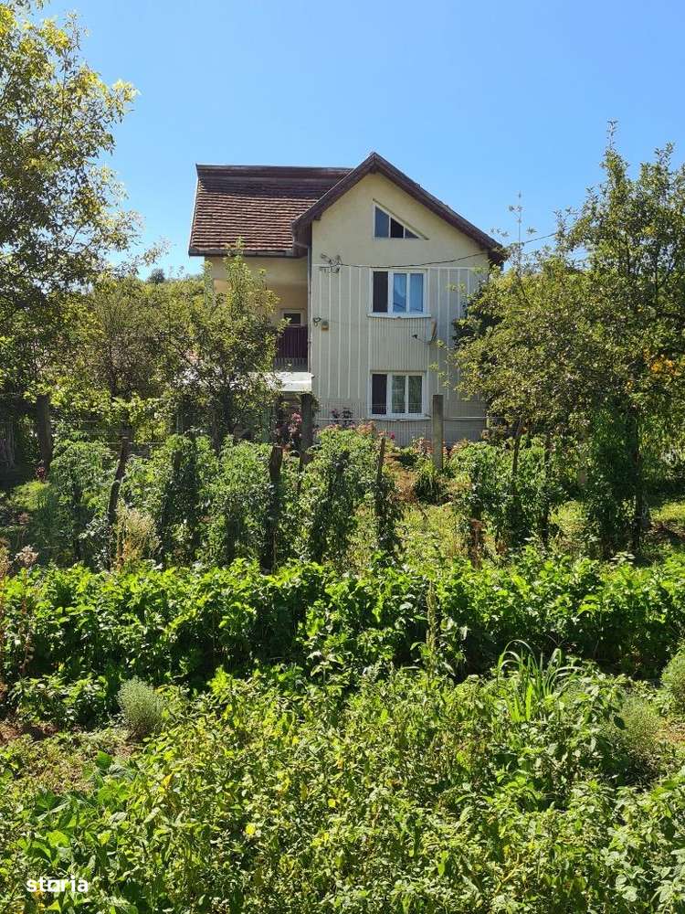 Casa P+1+M in Brebi,Salaj cu 19,32 ari teren+garaj+anexe de 240 mp - Imagine principală: 5/20