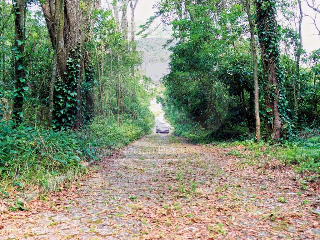 TERRENO SINTRA - Zona Central a 500m do Largo da Feira, a 20 min. d... - Grande imagem: 5/14