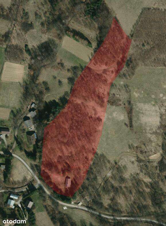 Łączki Jagiellońskie, siedlisko w malowniczym otoczeniu lasu i natury-1