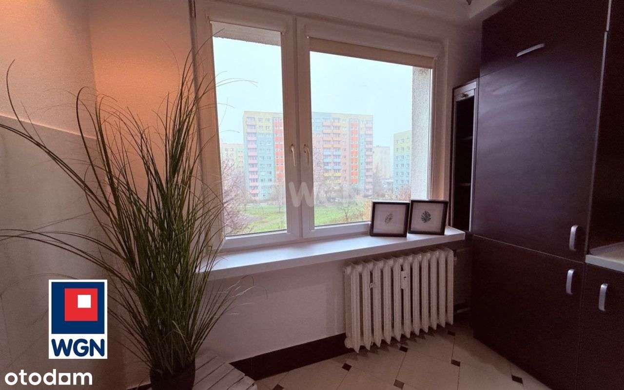 Jaworzno Wilcza - świetne 3 pokoje dostępne od zar-9