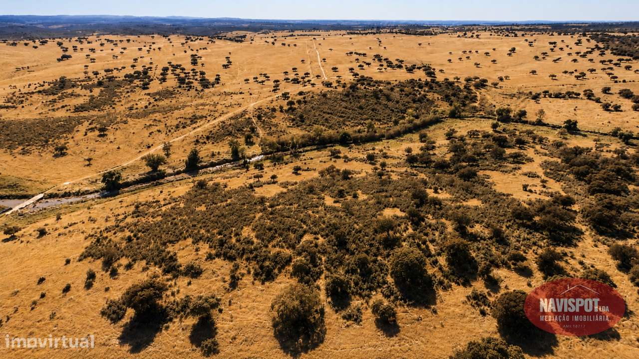 Herdade com 750 hectares no Alentejo-31
