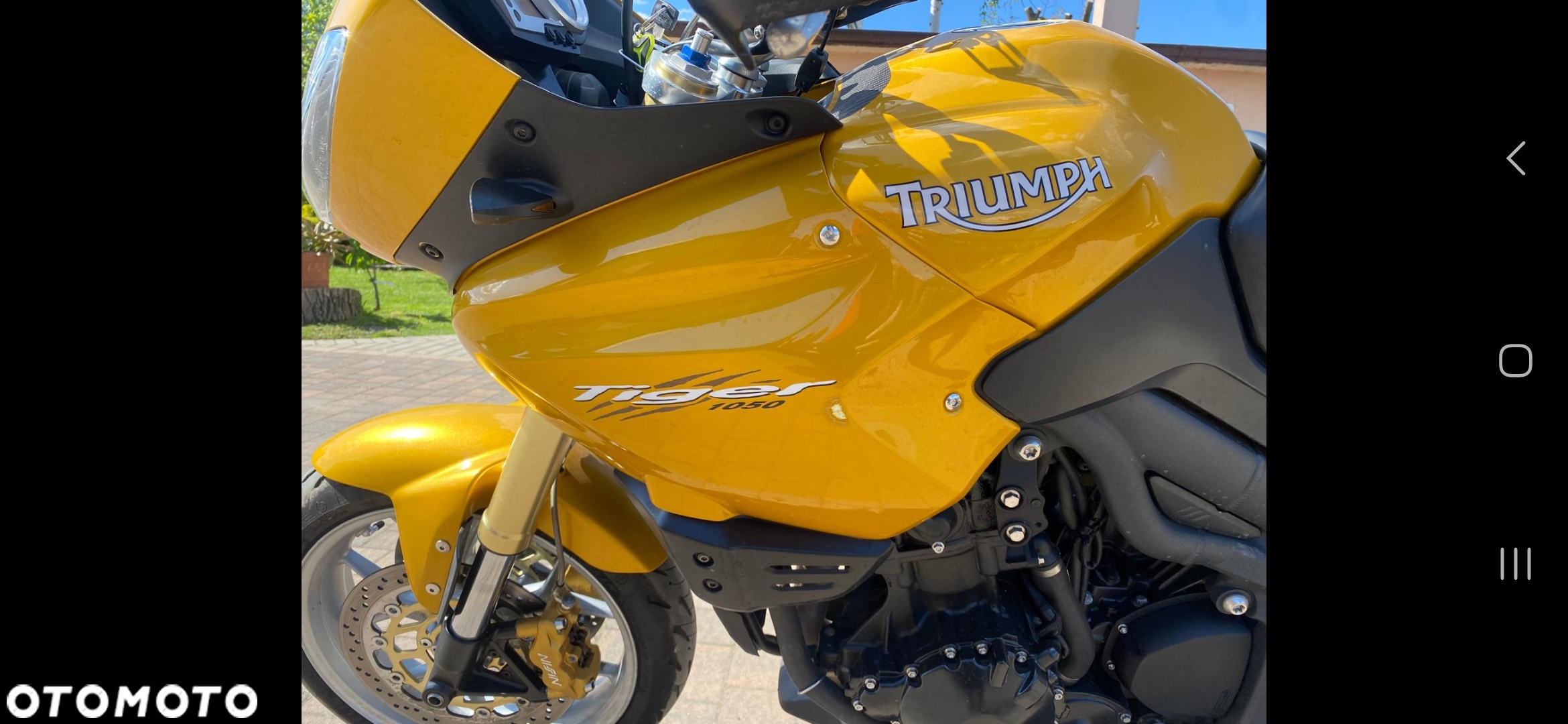 Triumph Tiger - 2