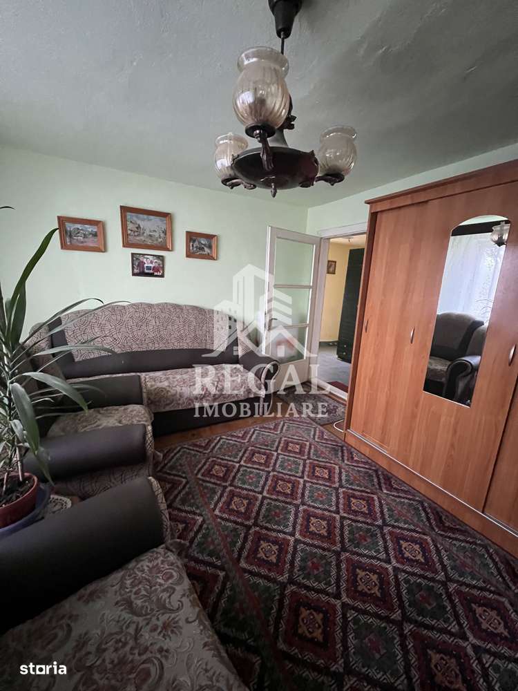 Două case individuale de vânzare în Teliuc –ideale pentru două familii-8