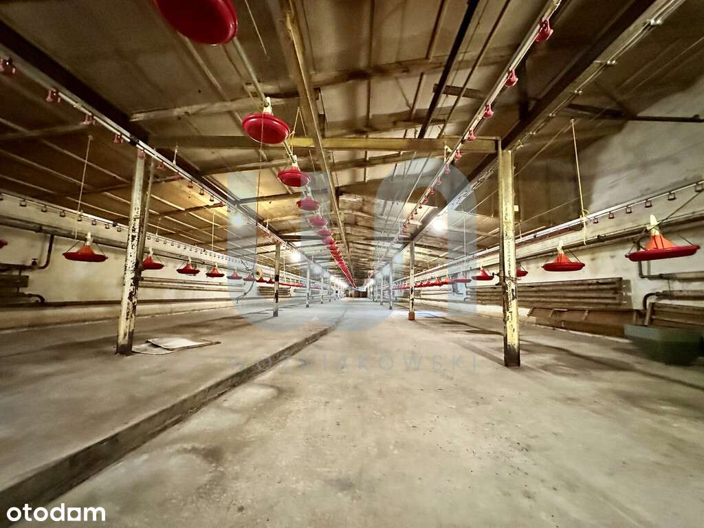 Dom/ Hale / Produkcja/ Magazyny/ Usługi-15