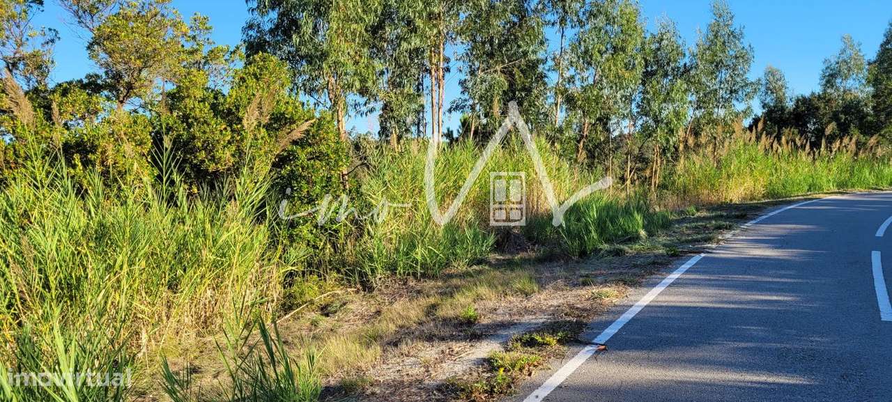 Terreno Rústico - Grande imagem: 2/3