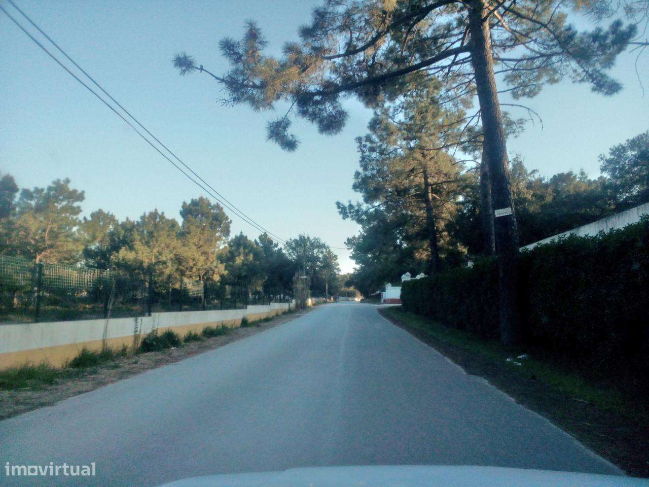 Azeitão / Brejos Azeitão Terreno 5000m2 . - Grande imagem: 4/12