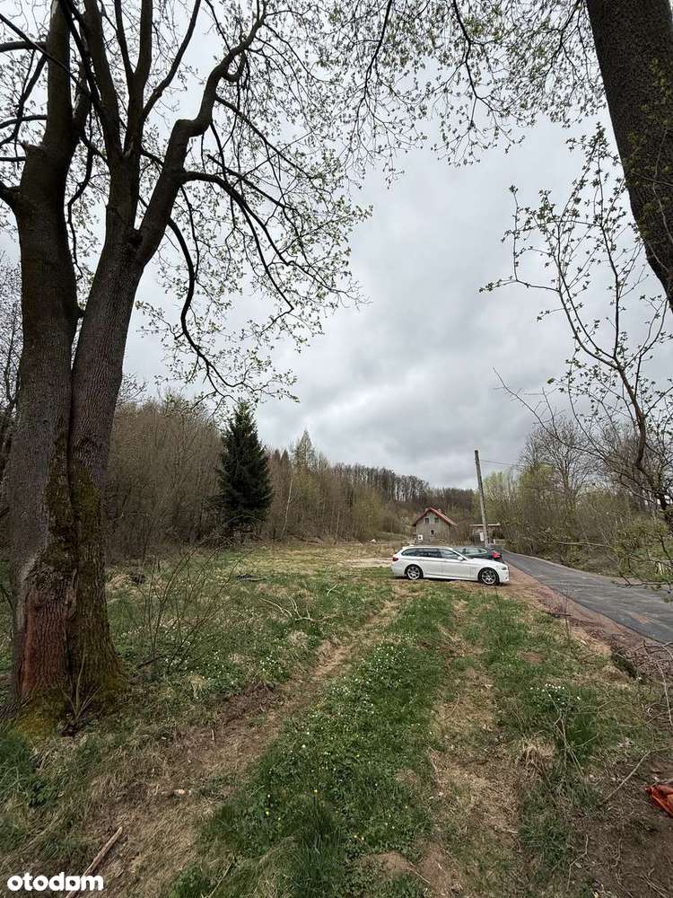 Działka z warunkami zabudowy - las, dostęp do drogi. Inwestycja.-7