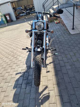 Harley-Davidson Softail - 14