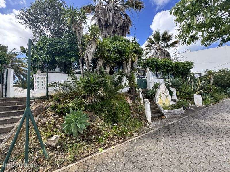 Imovel para recuperaçao total - Grande imagem: 5/7