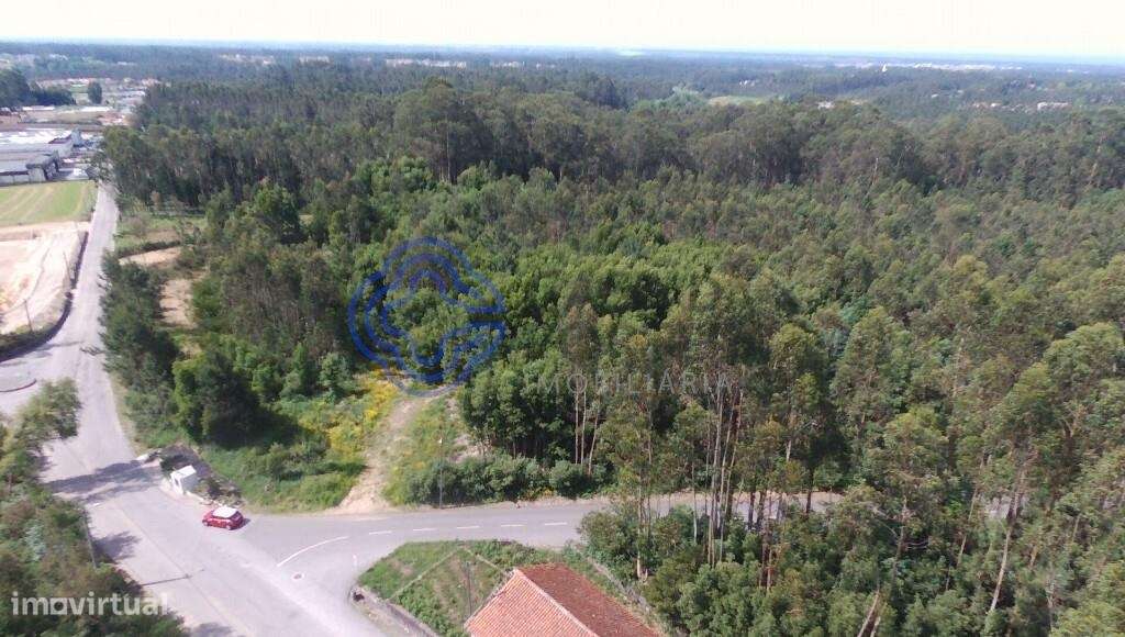 Terreno Industrial em São Vicente Pereira com 24 400metros - Grande imagem: 4/10