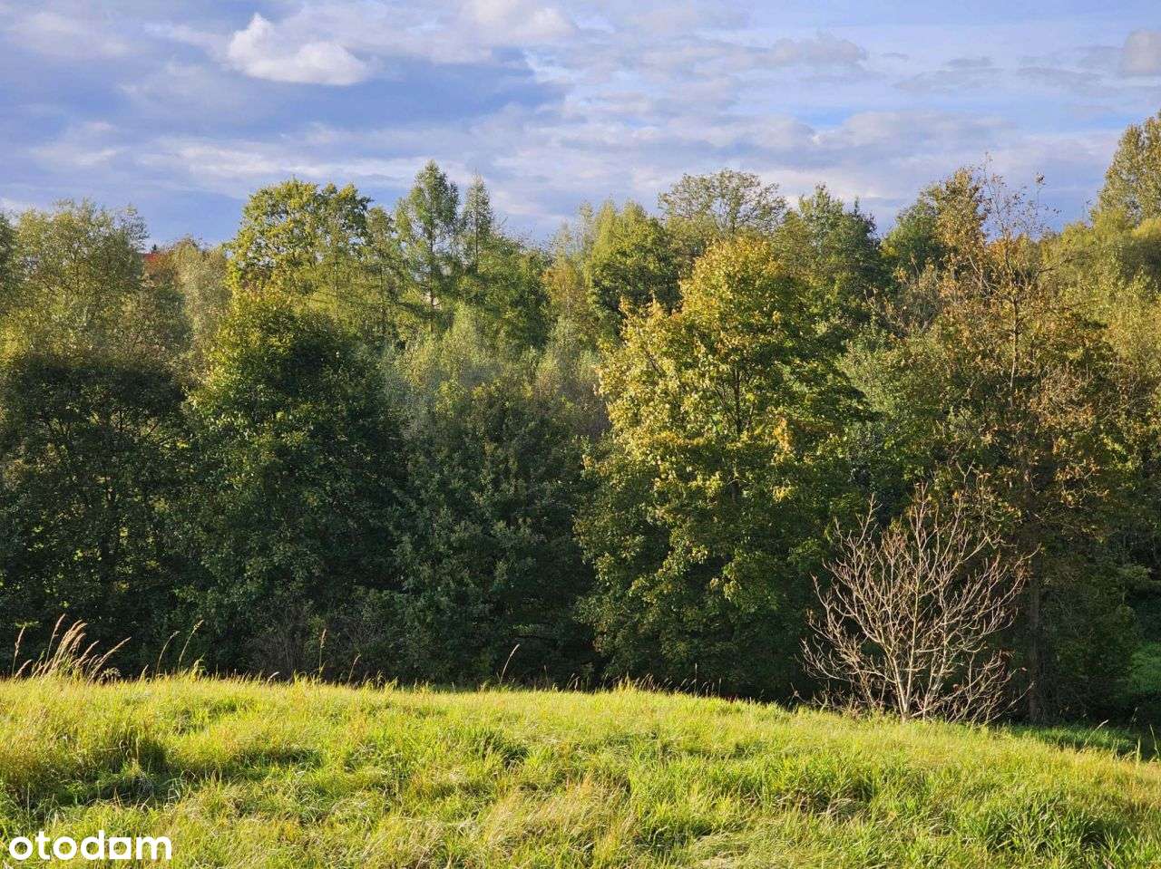 Malownicza działka budowlano-rolna w zacisznym mie-5