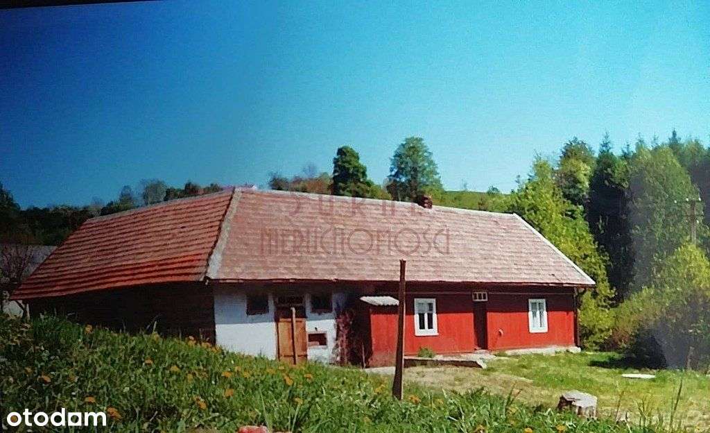 Bieszczady/siedlisko/gmina Komańcza - Pełny obrazek: 4/4