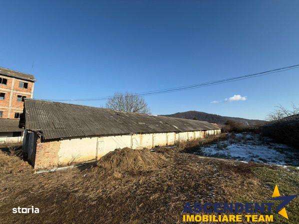 Spatiu comercialIndustrial multifunctional: productie, depozitare, log - Imagine principală: 4/7