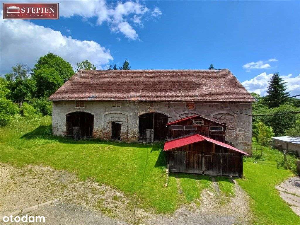 Dom i zabudowa gospodarcza na działce 4,6 ha - Pełny obrazek: 5/19