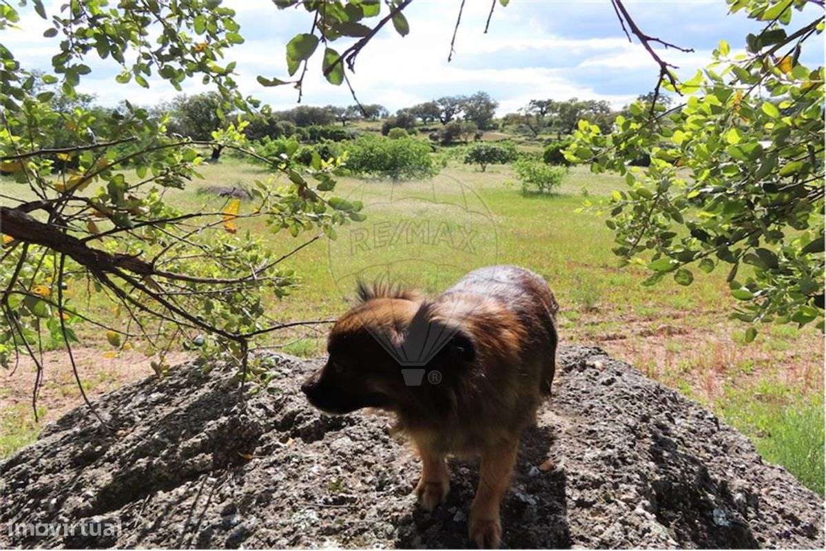 Quinta T0 para Venda - Grande imagem: 5/35