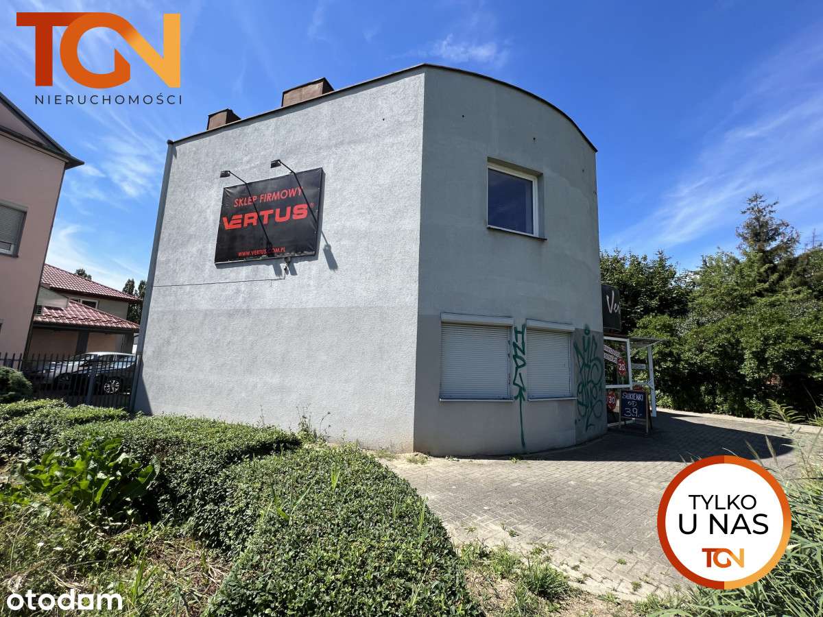 s550897 - Pełny obrazek: 3/11