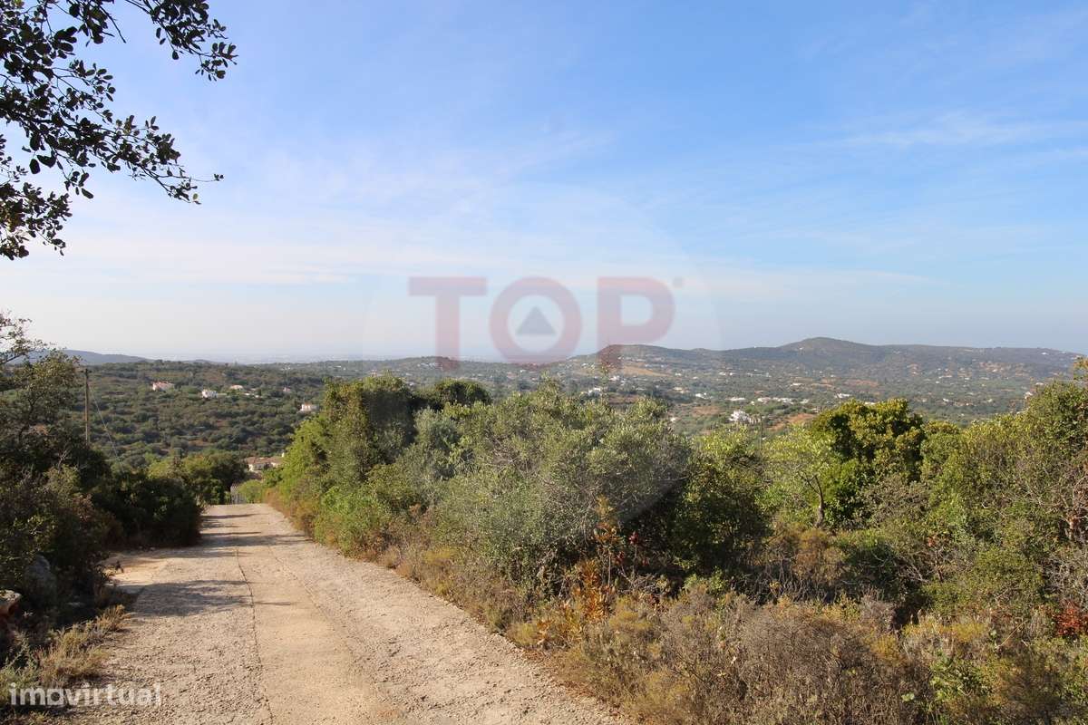 Lote Urbano - Moradia T3 com Piscina e Moinho Histórico com Vista Pano - Grande imagem: 4/30