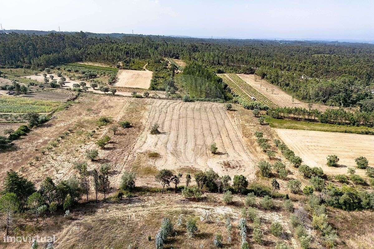 Terreno  para venda - Grande imagem: 2/8