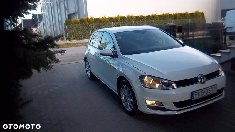 Volkswagen Golf - 15