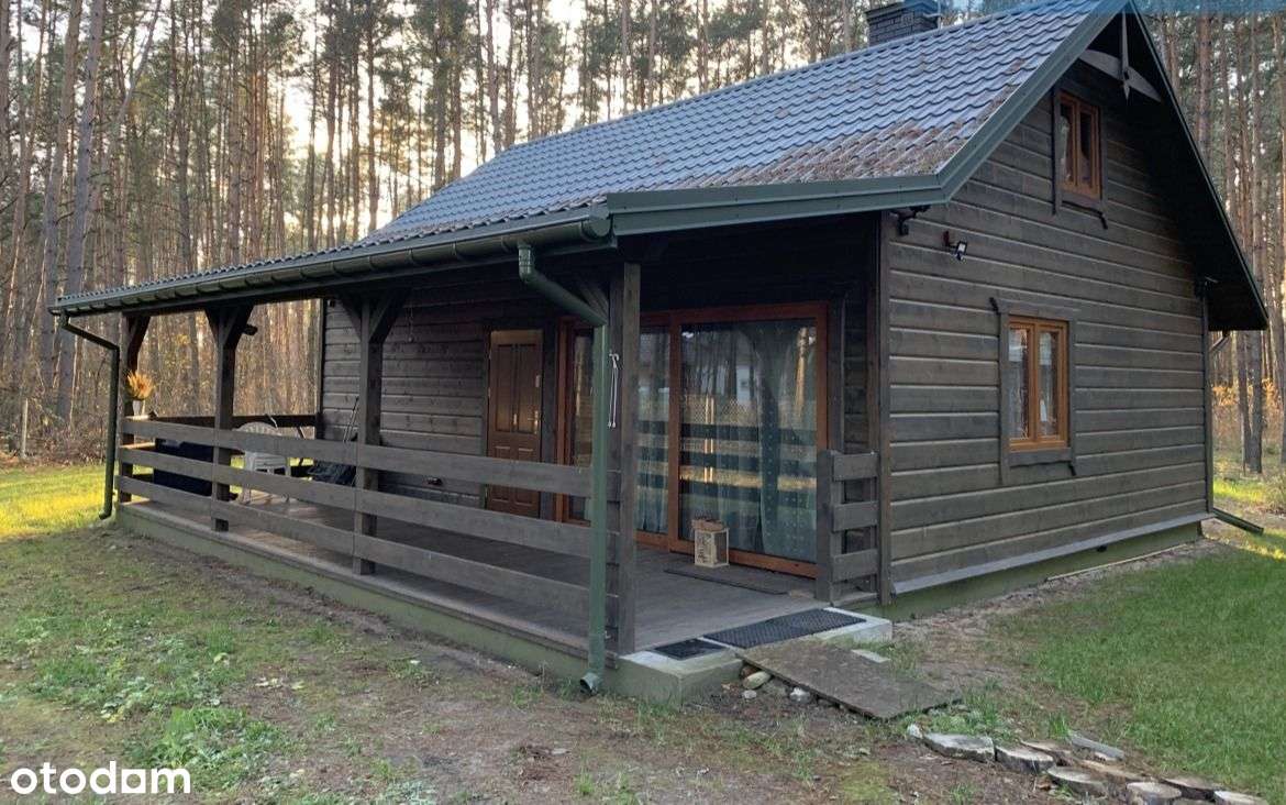 Nowy/Całoroczny domek/Las/Rzeka-3
