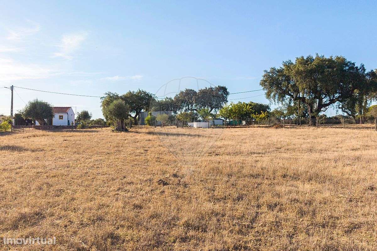 Terreno  para venda-24