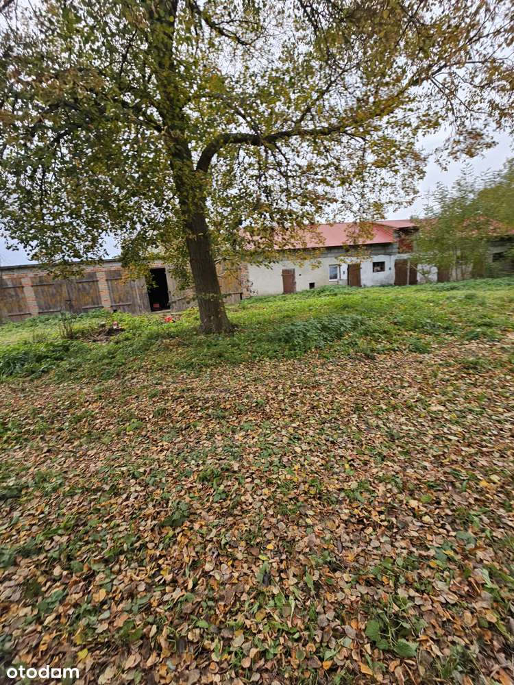 Piękne siedlisko - Pełny obrazek: 1/17