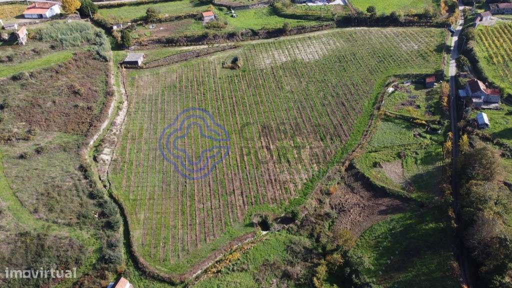 Quinta Agrícola - Gove - Baião - Grande imagem: 5/18