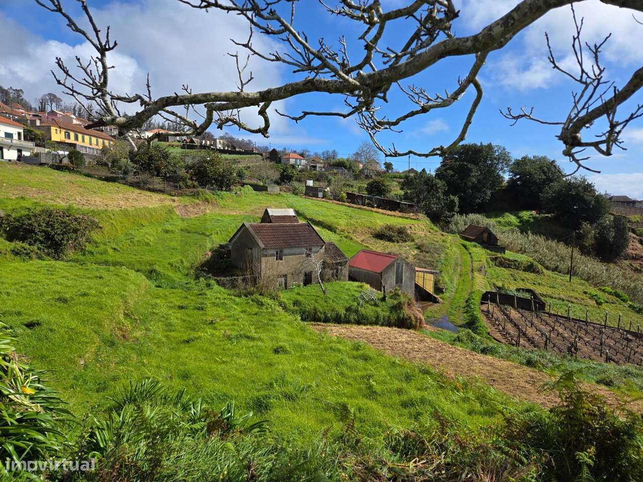 Fajã da Ovelha - O seu Refugio na Madeira-1