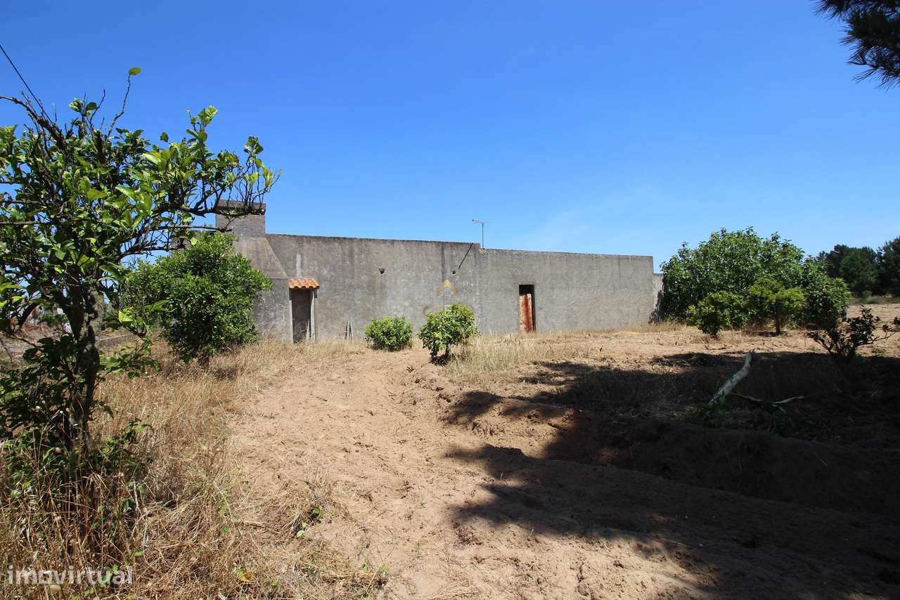 Herdade, Benavente, Coutada Velha - rua da Primavera - Grande imagem: 5/54