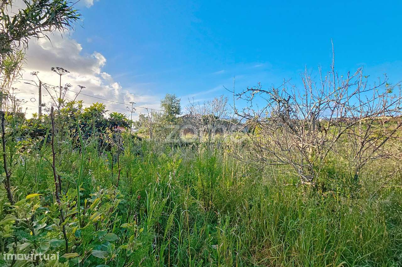 Ruína|+ Terreno Rústico| Alqueidão| Viabilidade de Construção - Grande imagem: 1/21