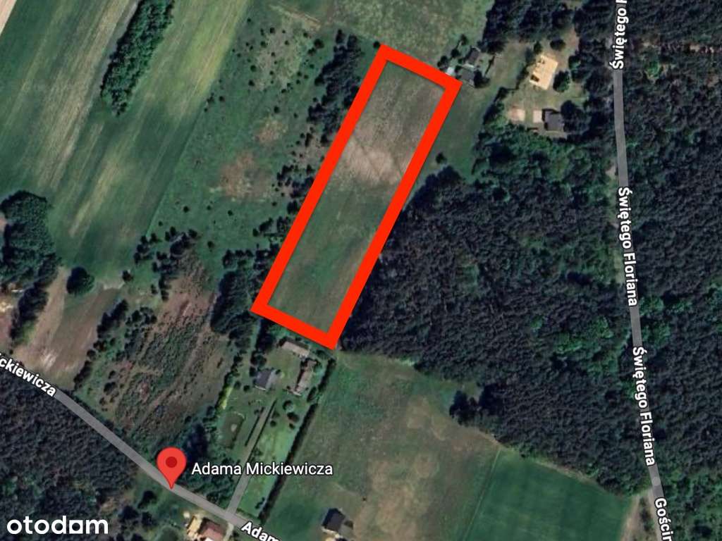 Blisko 2ha - działki budowlane i siedlisko - Pełny obrazek: 4/7