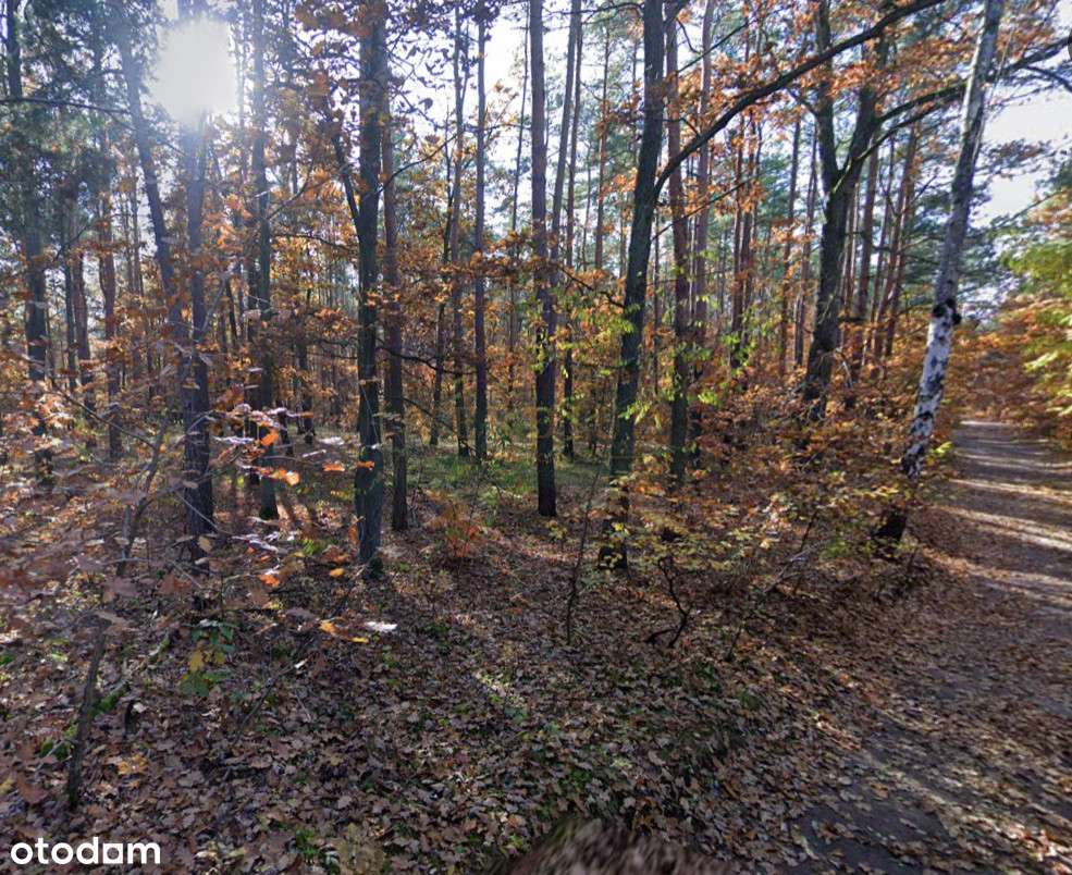 Działka budowlana 1657m2, starodrzew, cisza-3