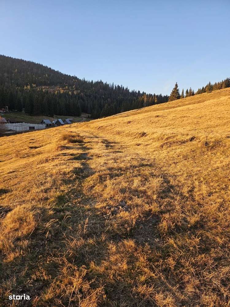 Teren intravilan in supr. de 300 mp., situat in Arieseni, zona Vartop. - Imagine principală: 4/4