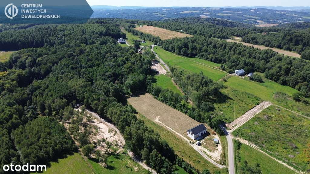 12/24 ary pod lasem z warunkami zabudowy - Pełny obrazek: 4/7