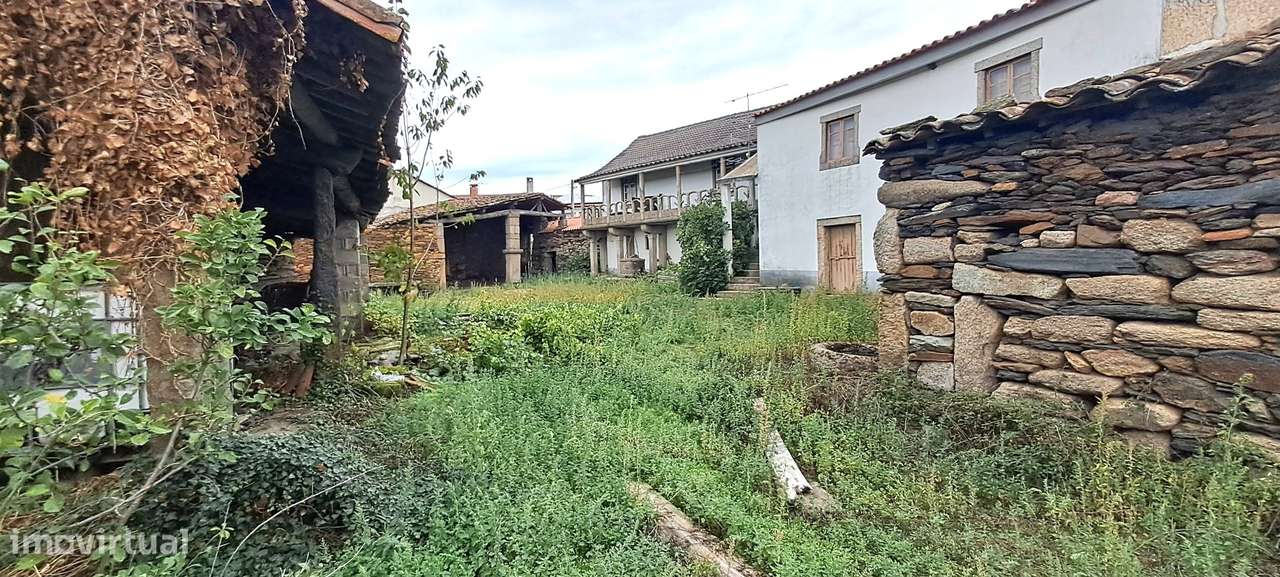 Quinta em Travanca, Mogadouro-20