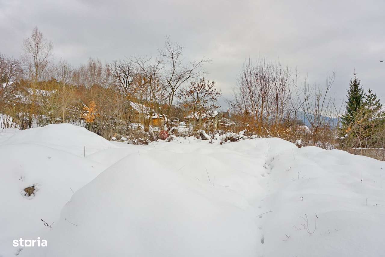 Teren Intravilan - Pretabil Dezvoltare Rezidentiala - Imagine principală: 4/11