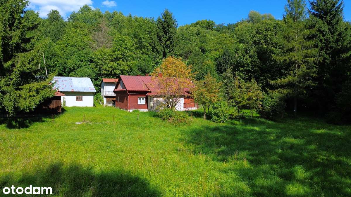 Magiczne siedlisko z lasem, rzeczką i historią-1