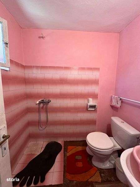 Casa de vanzare , Urziceni Padure , jud Satu Mare - Imagine principală: 5/7