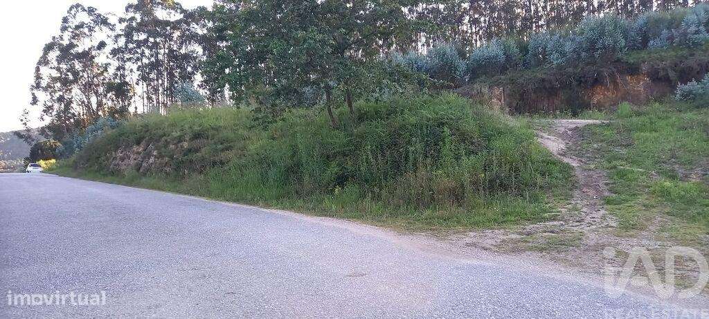 Terreno em Sande Vila Nova e Sande São Clemente - Grande imagem: 5/10