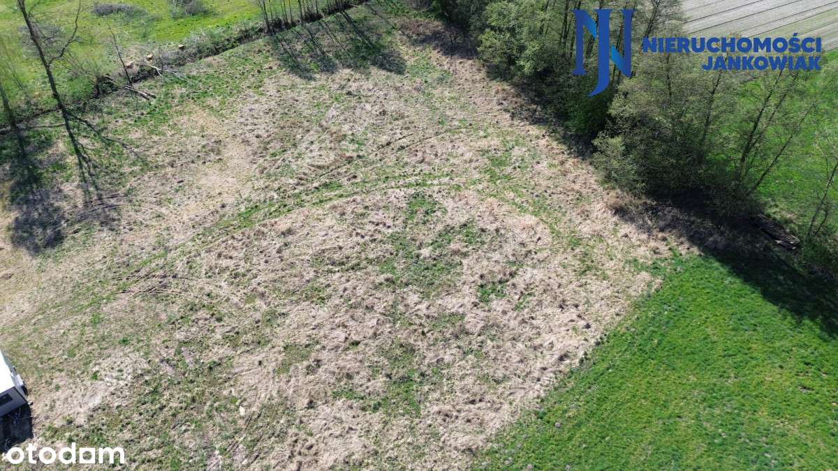 Działka w spokojnej okolicy z warunkami zabudowy - Pełny obrazek: 4/9