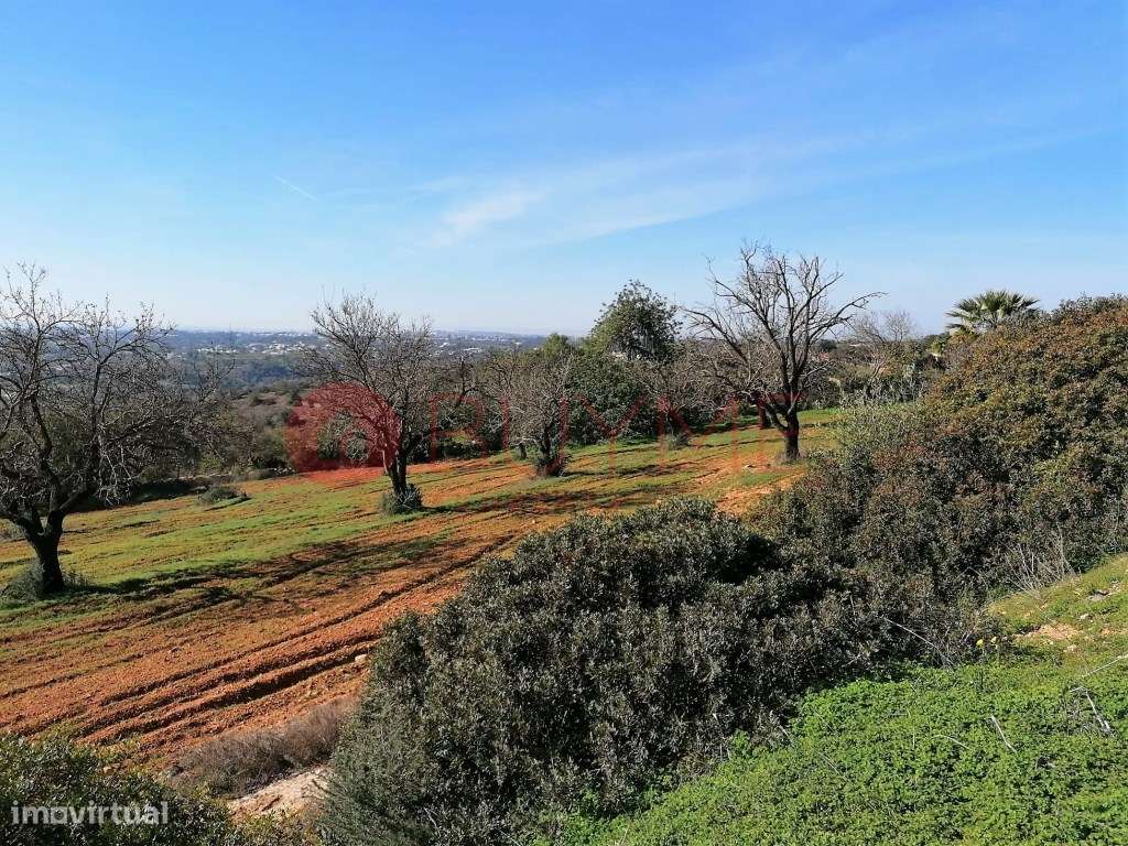 Terrenos Rústicos em Boliqueime - Malhadais, com Vista Mar - Grande imagem: 5/10