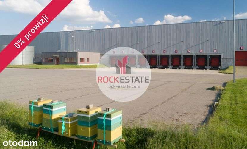 Magazyn na wynajem 3600 m2 Łysomice k.Torunia - Pełny obrazek: 4/6