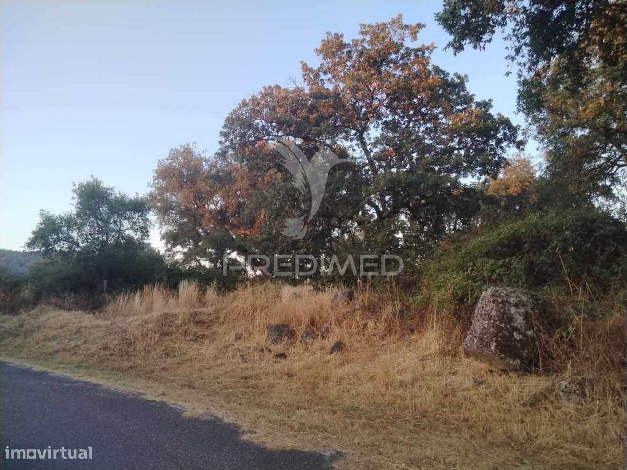 Terreno Agrícola - Grande imagem: 3/4