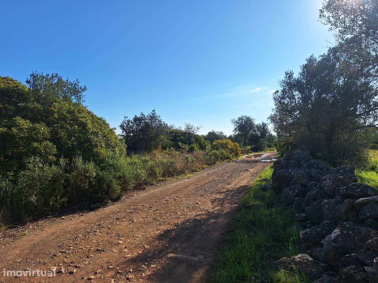 Terreno Rústico no Sítio do Laranjeiro de Santa Catarina da Fonte d...-5